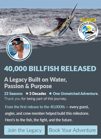 40,000 BILLFISH RELEASED