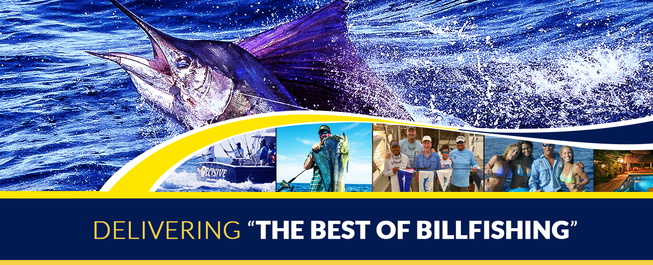 Best Of Billfishing