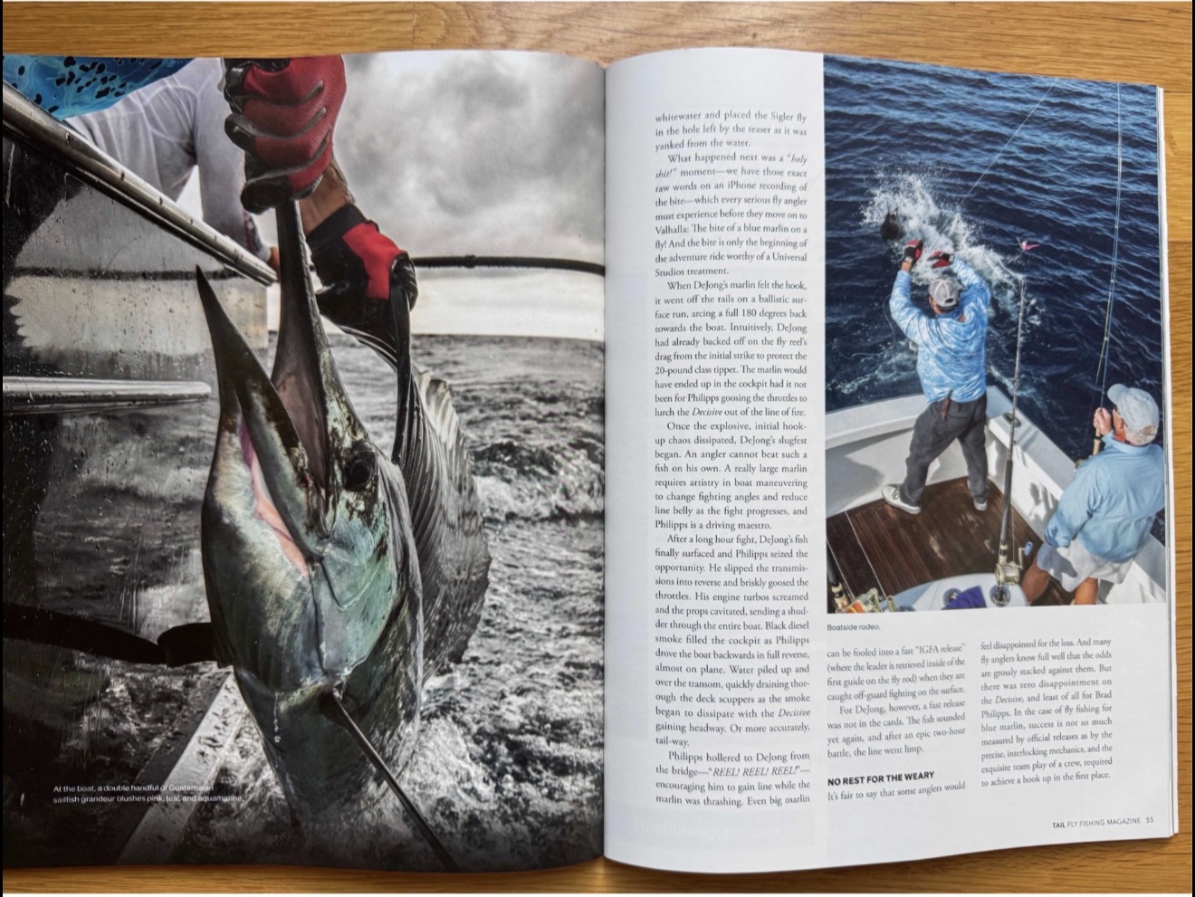 Boatside blue marlin action from the Brad Philipps 2.0 TAIL feature