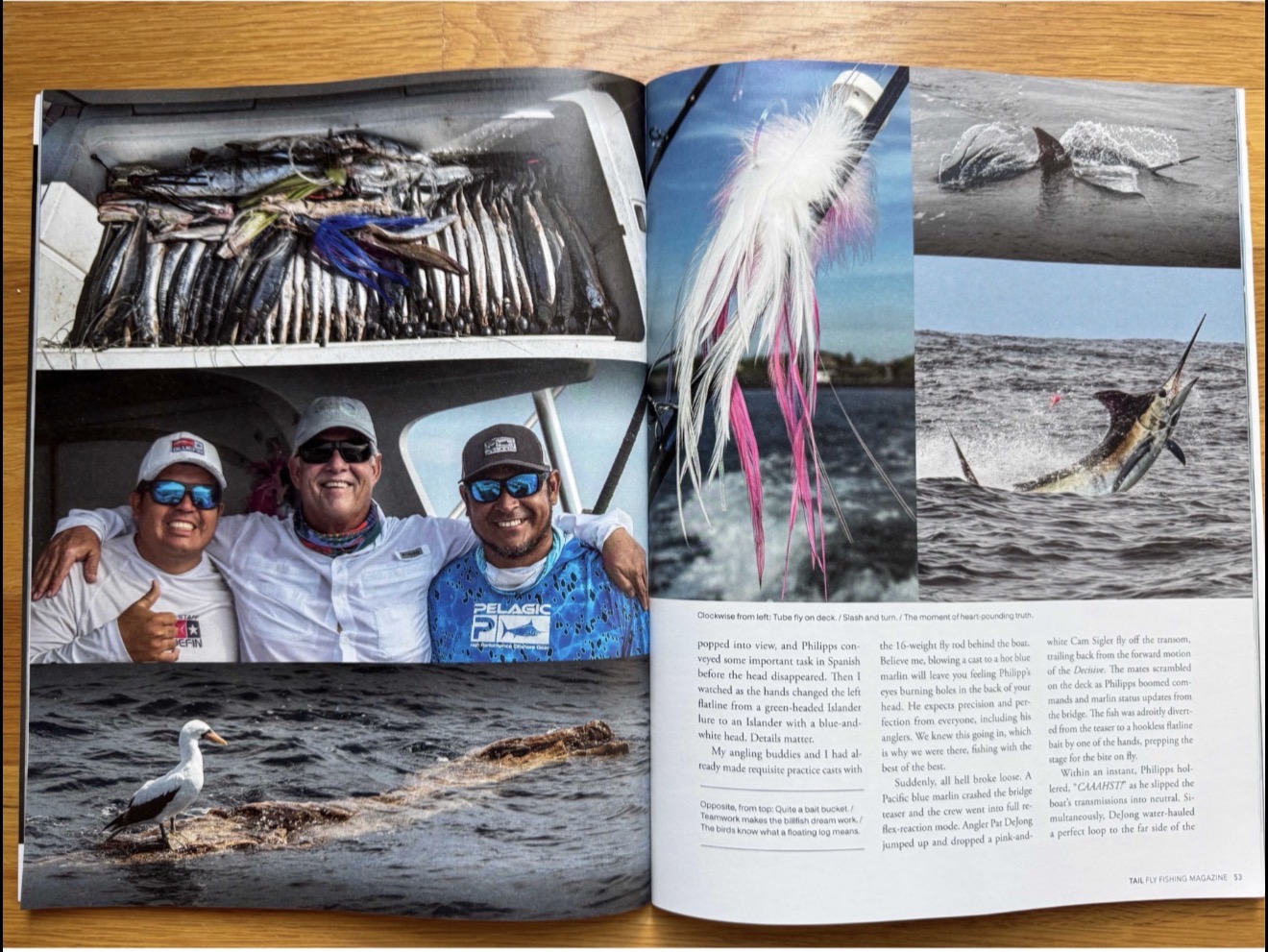 Crew, fly and blue marlin spread from TAIL Fly Fishing Magazine