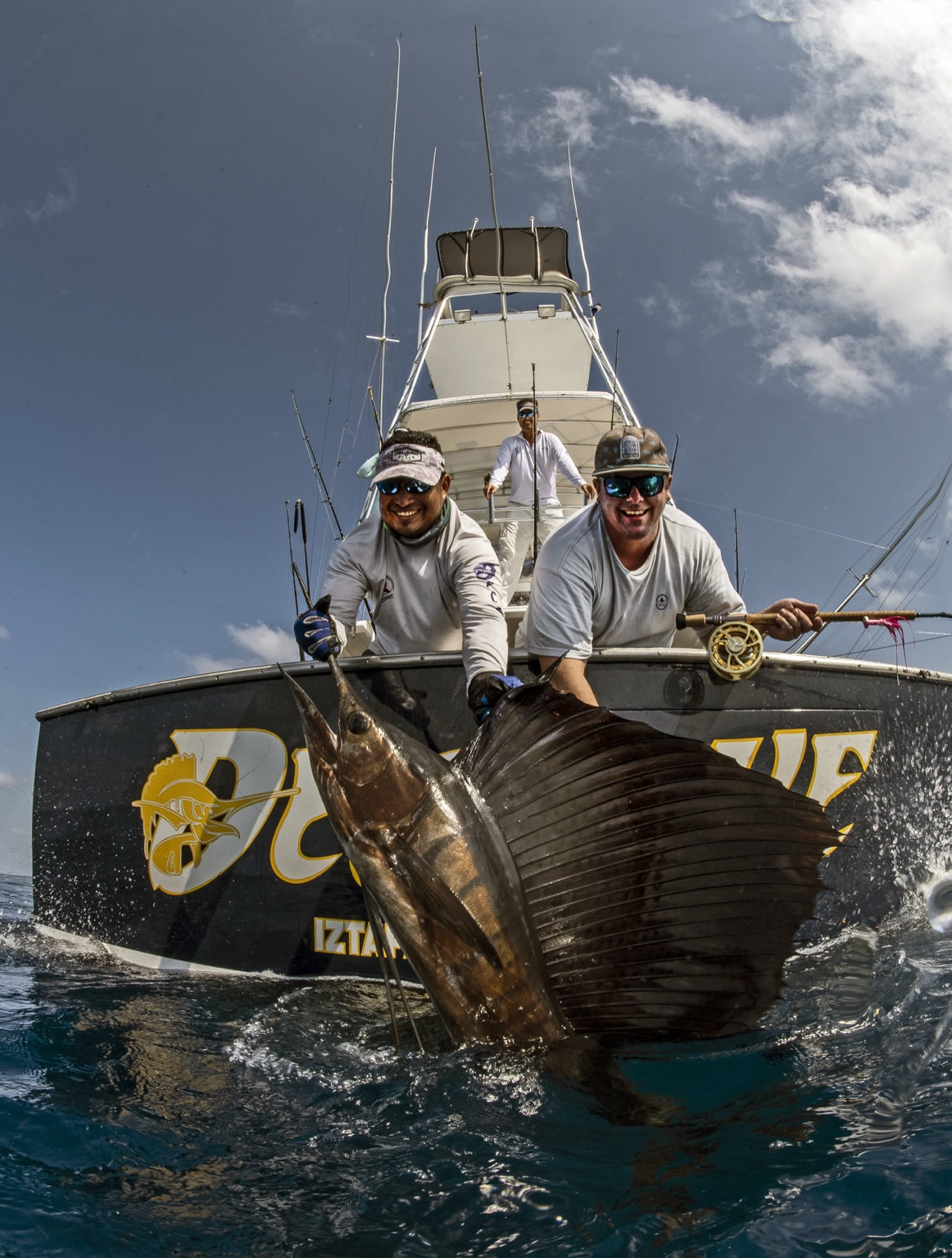 Crew handling a sailfish alongside the boat before release